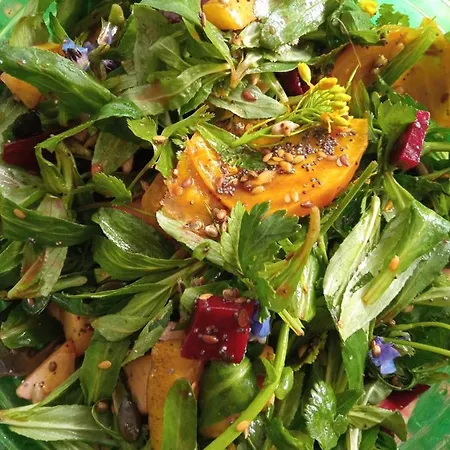 Homestay Le Clos Fleuri *