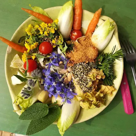 Le Clos Fleuri Nimes