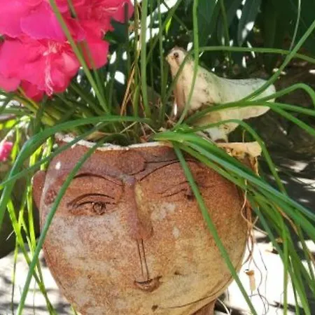 Le Clos Fleuri Homestay *