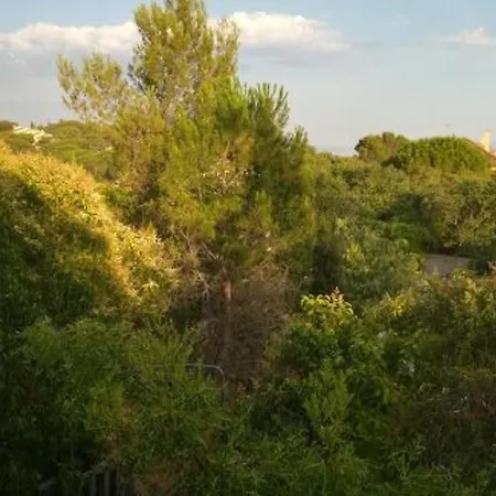 Le Clos Fleuri Homestay Nimes